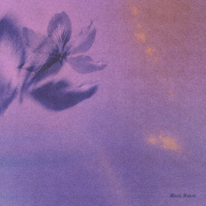 天天射天天干天天日
