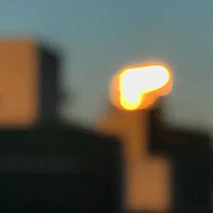 天天射天天干天天日
