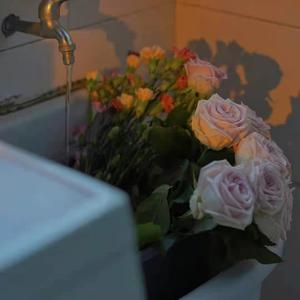 天天射天天干天天日
