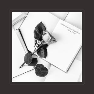 天天射天天干天天日
