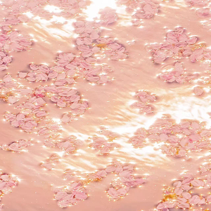 天天射天天干天天日
